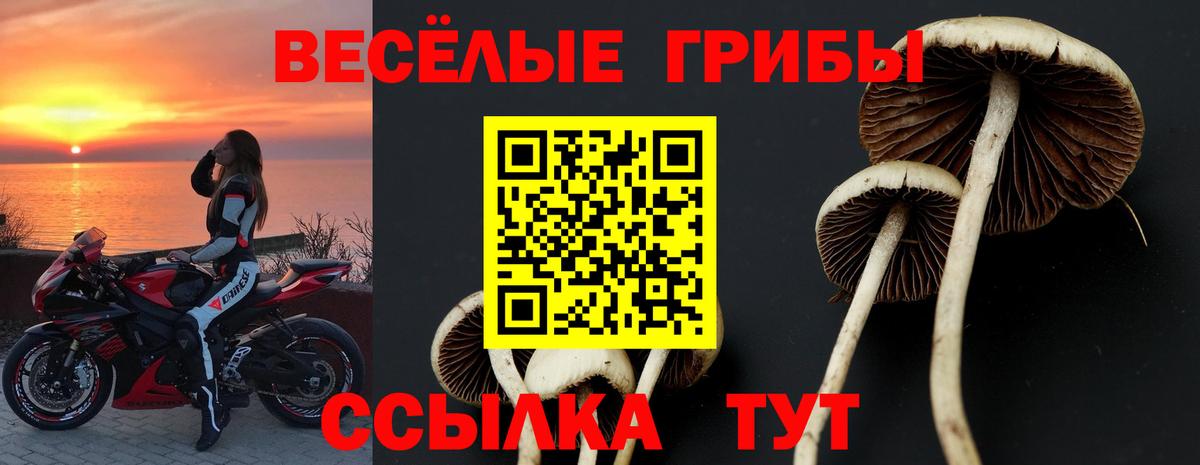 Корсаков  Галлюциногенные грибы GOLDEN TEACHER  Вход с VPN 